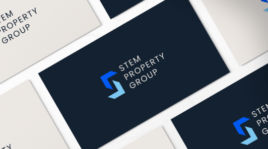 Знакомство с Stem Property Group